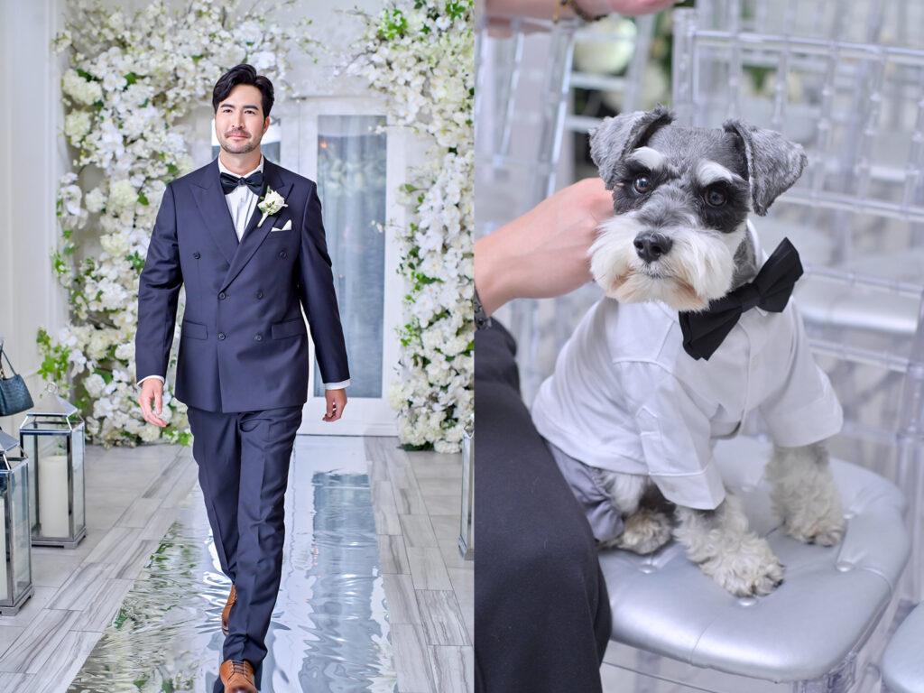 dog at Albertson Wedding Chapel